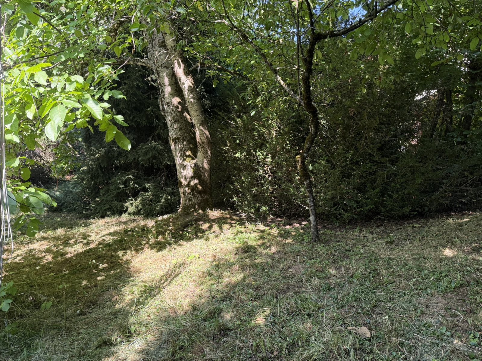 Maison à vendre, 108m², Tauves