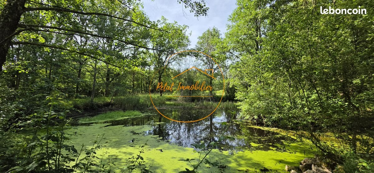 Maison à vendre, 203m², Ligny-le-Ribault