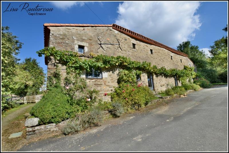 Maison à vendre, 450m², Chavagnes-en-Paillers