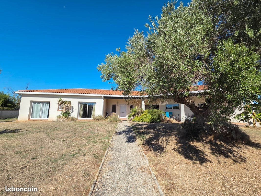 Maison à vendre, 165m², Fonsorbes