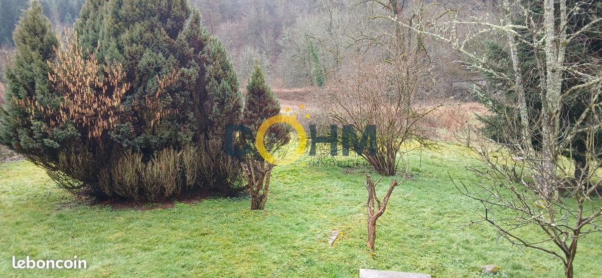 Maison à vendre, 270m², Vertolaye