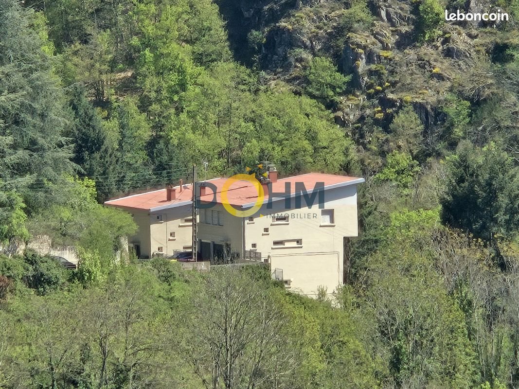 Maison à vendre, 272m², Thiers