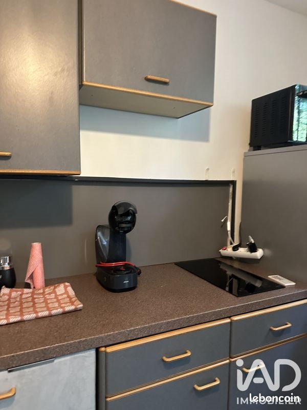 Appartement à louer, 33m², Dardilly
