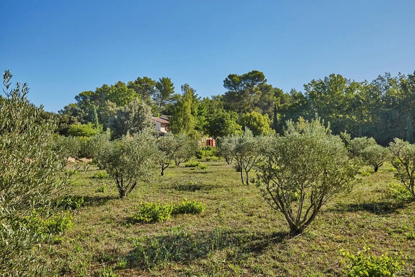 Maison à vendre, 200m², Aix-en-Provence