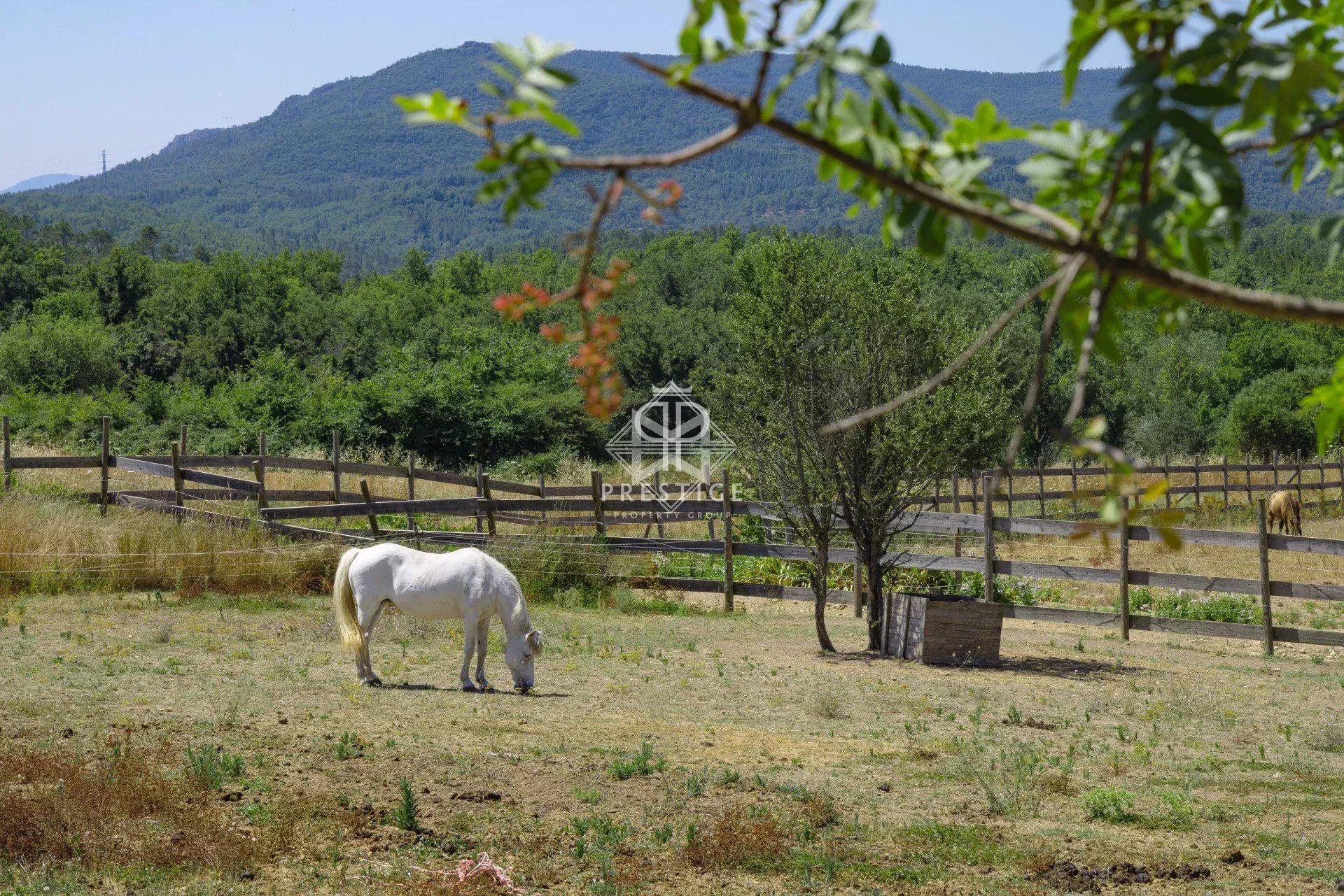 Maison à vendre, 552m², Fayence