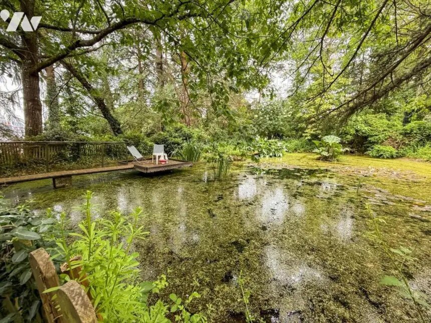 Maison à vendre, 240m², Sucé-sur-Erdre