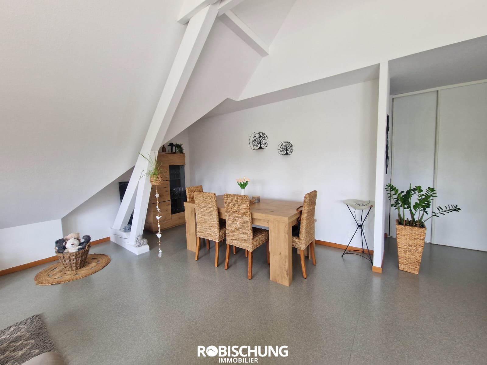 Appartement à louer, 104m², Hirsingue