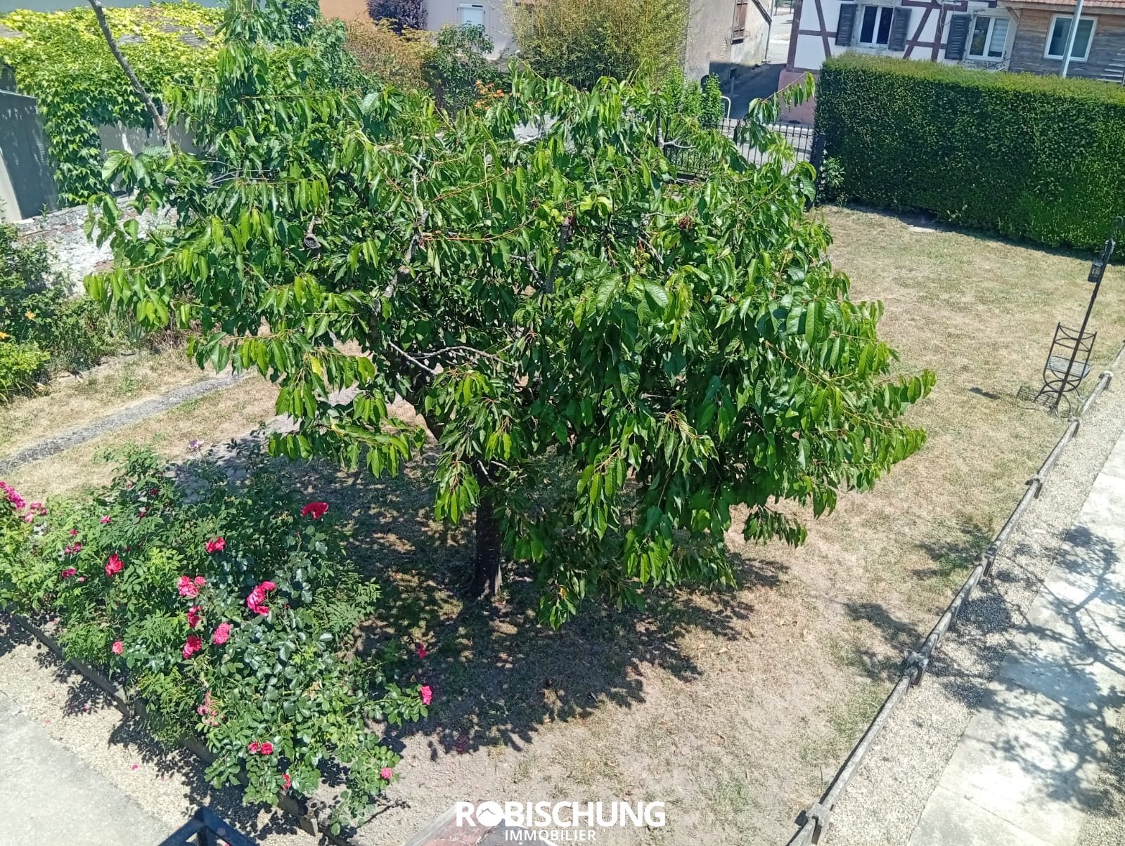 Maison à vendre, 165m², Dannemarie