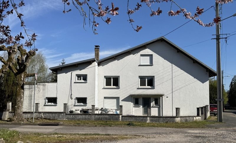 Maison à vendre, 200m², Cirey-sur-Vezouze
