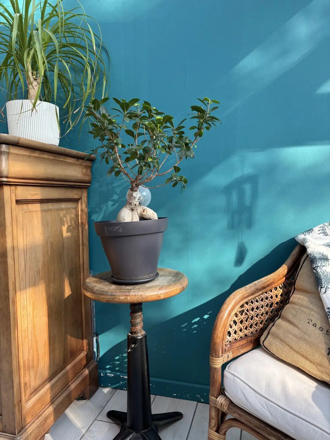 Maison à vendre, 164m², Romans-sur-Isère