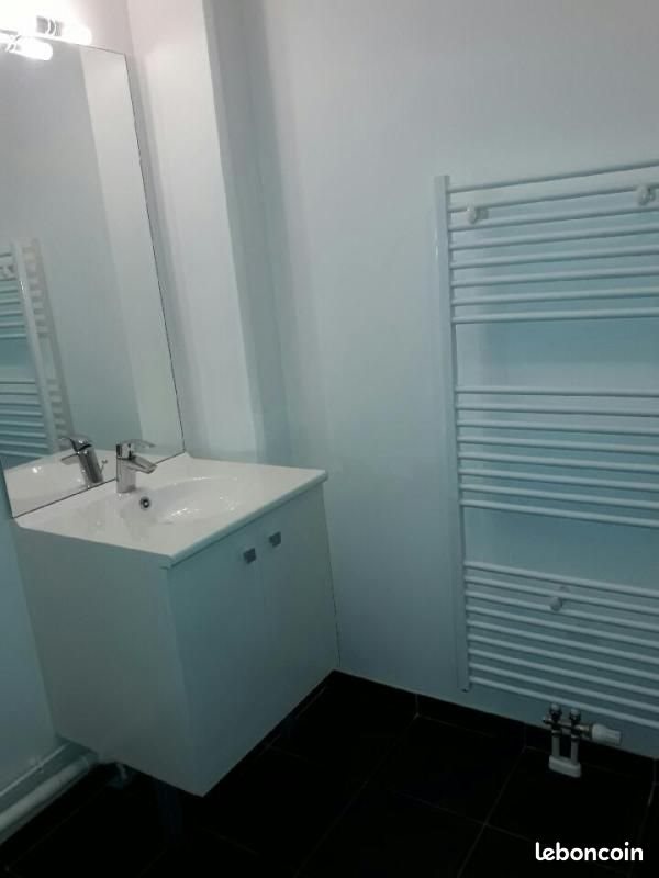 Appartement à louer, 47m², Lille