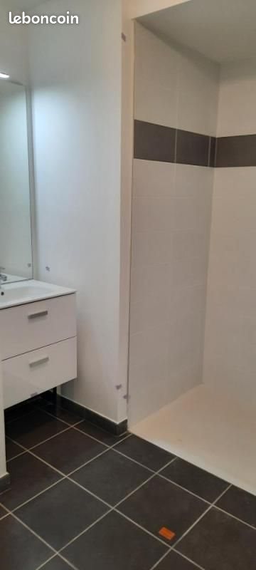 Appartement à louer, 27m², Villeurbanne