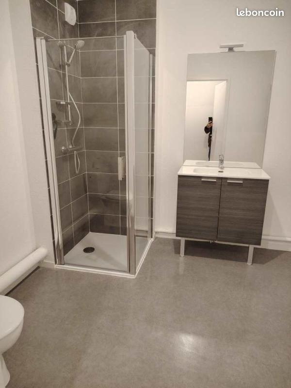 Appartement à louer, 43m², Blain
