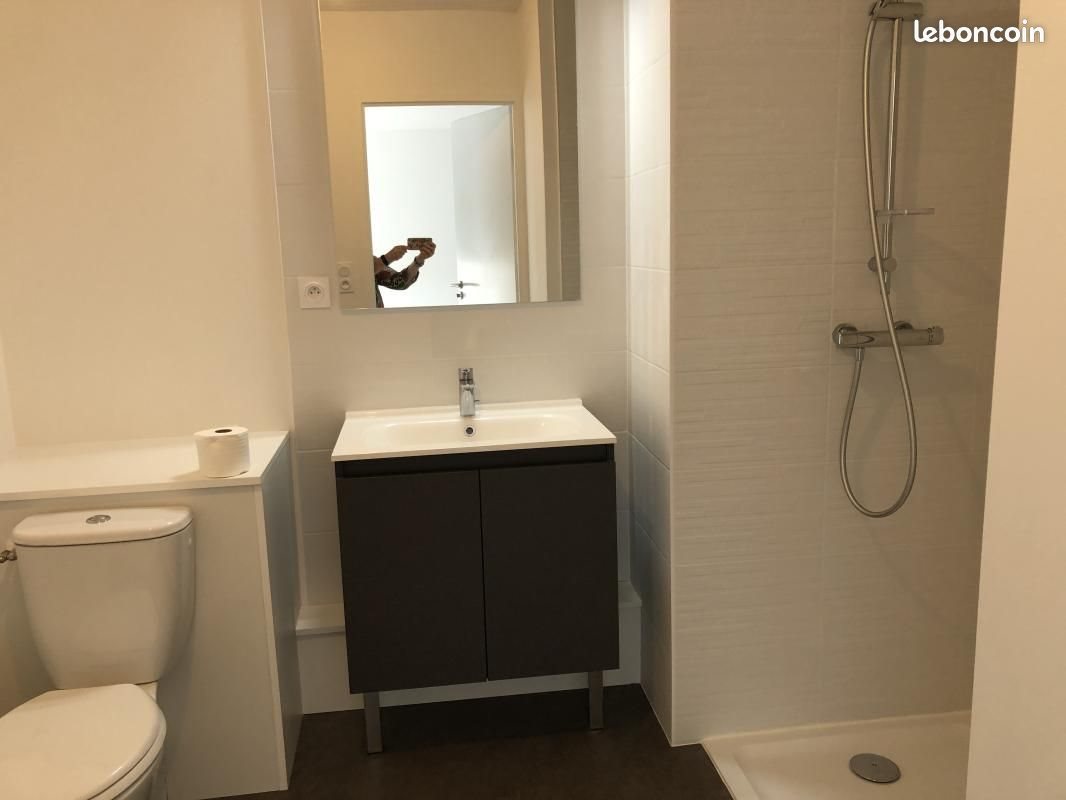 Appartement à louer, 44m², Tours