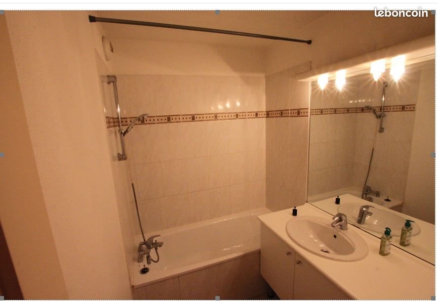 Appartement à louer, 43m², Colmar