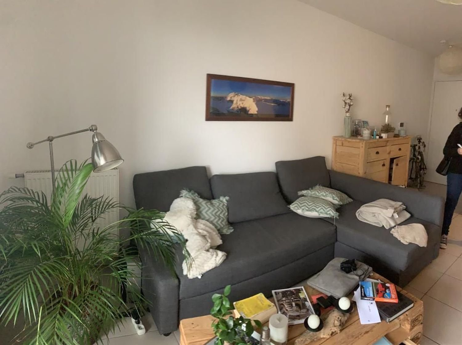 Appartement à louer, 42m², Toulouse