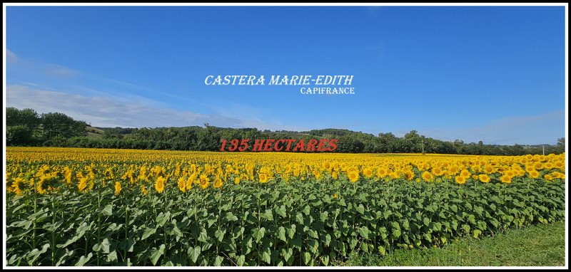 Maison à vendre, 860m², Auch