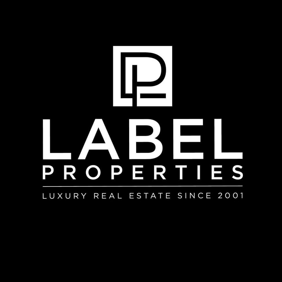 company logo : David Bonamy