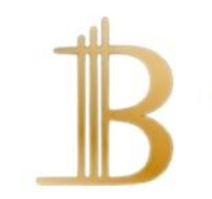 company logo : Bergeron Immobilier
