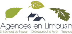 company logo : SAINT LEONARD IMMOBILIER