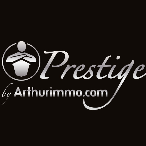 company logo : AGENCE INTERNATIONALE LPI - FRENCH PROPERTIES