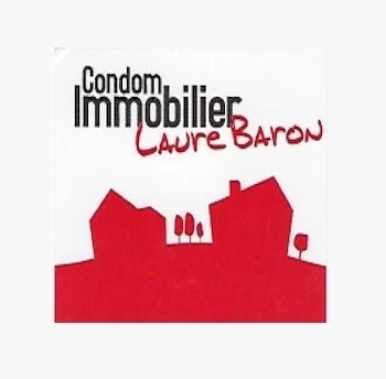 company logo : Condom immobilier