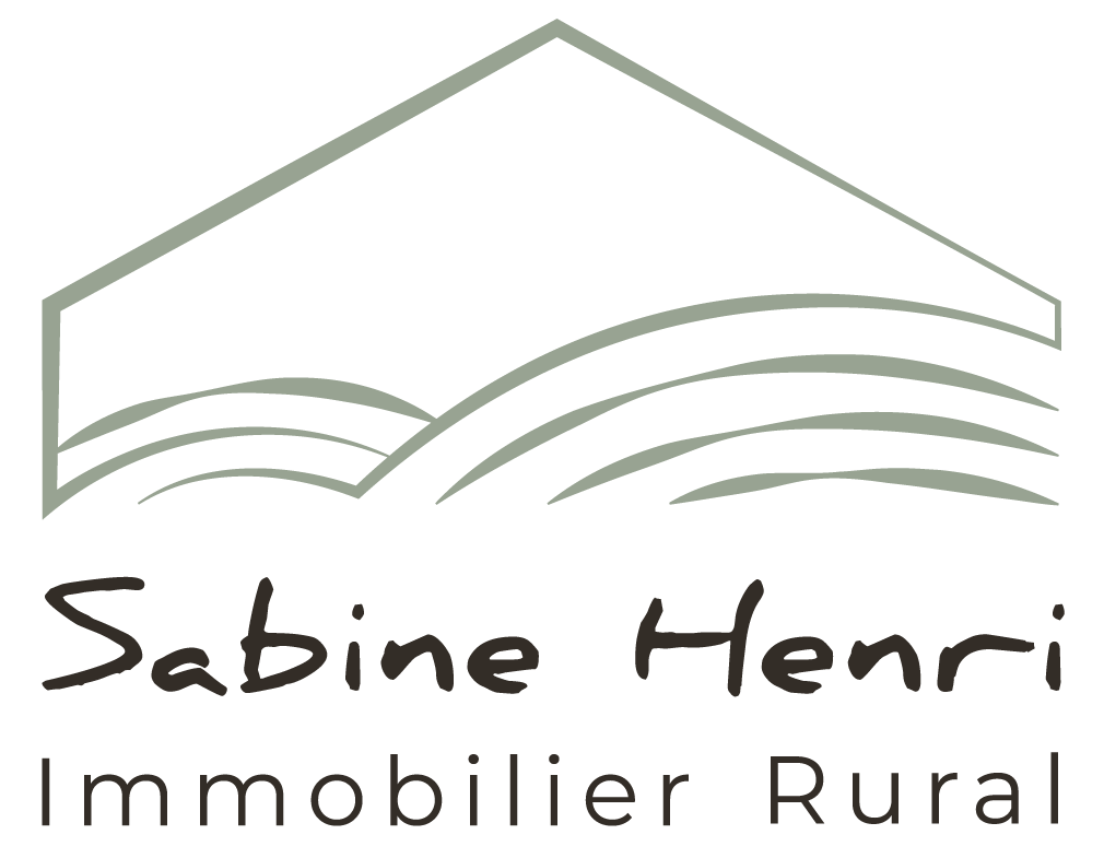 company logo : Sabine HENRI