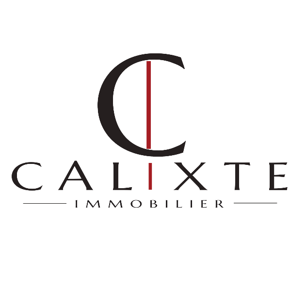 company logo : Fabrice BERNERD