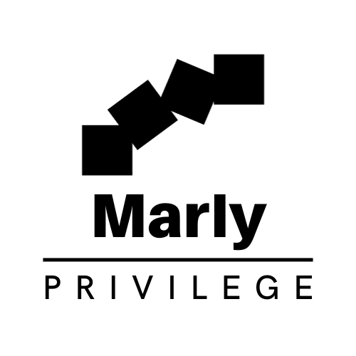 company logo : Vincent Condo