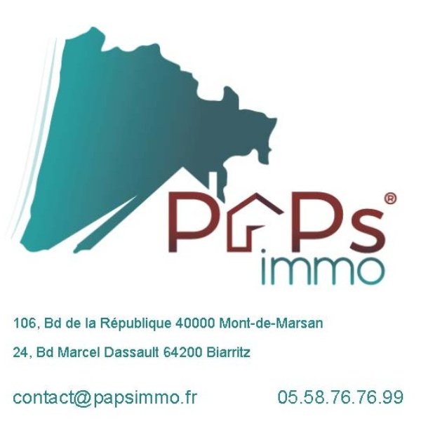 company logo : PAPsimmo