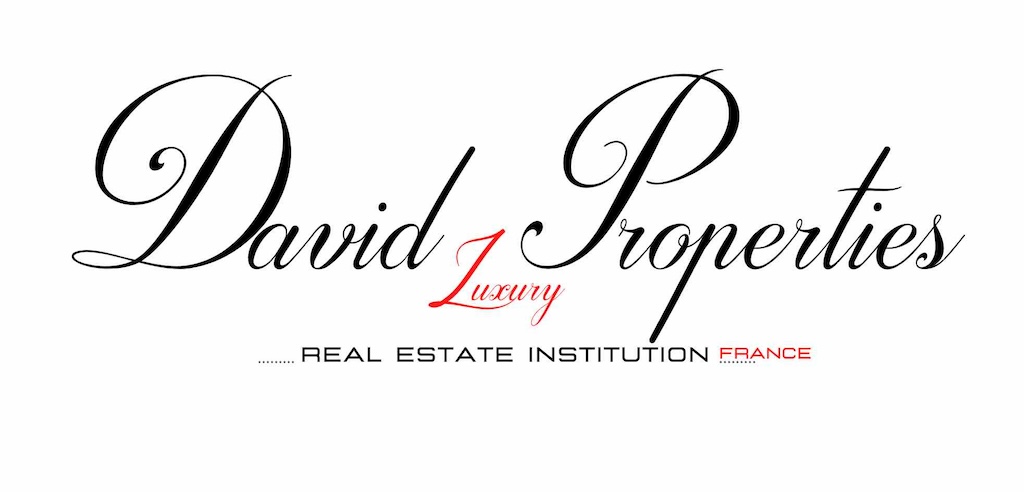 company logo : David Luxury Properties