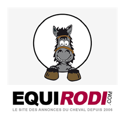 company logo : equidomain.com